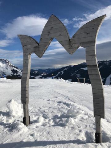 Tauernlodge Sonnblick Top 3 Muhlbach Am Hochkonig Ngoại thất bức ảnh